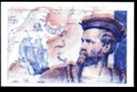 CaP11